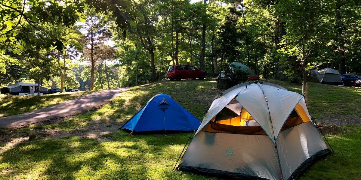 two tents set up in the woods