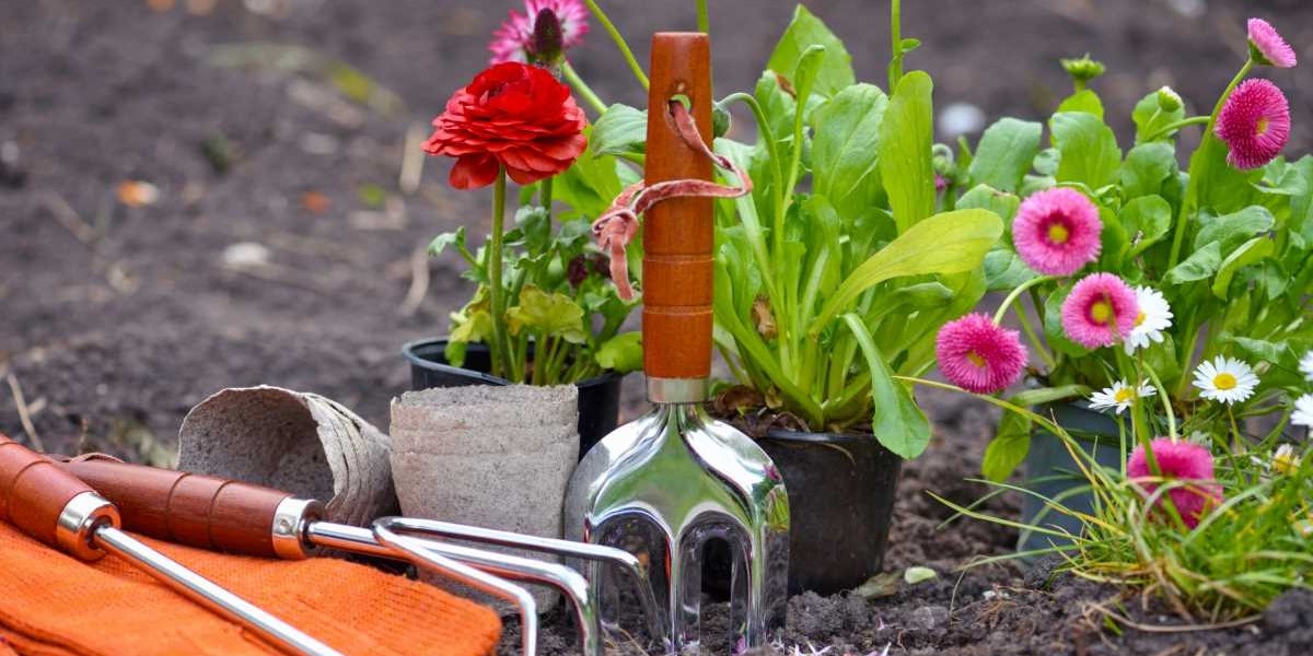 gardening tools and flowers in the garden